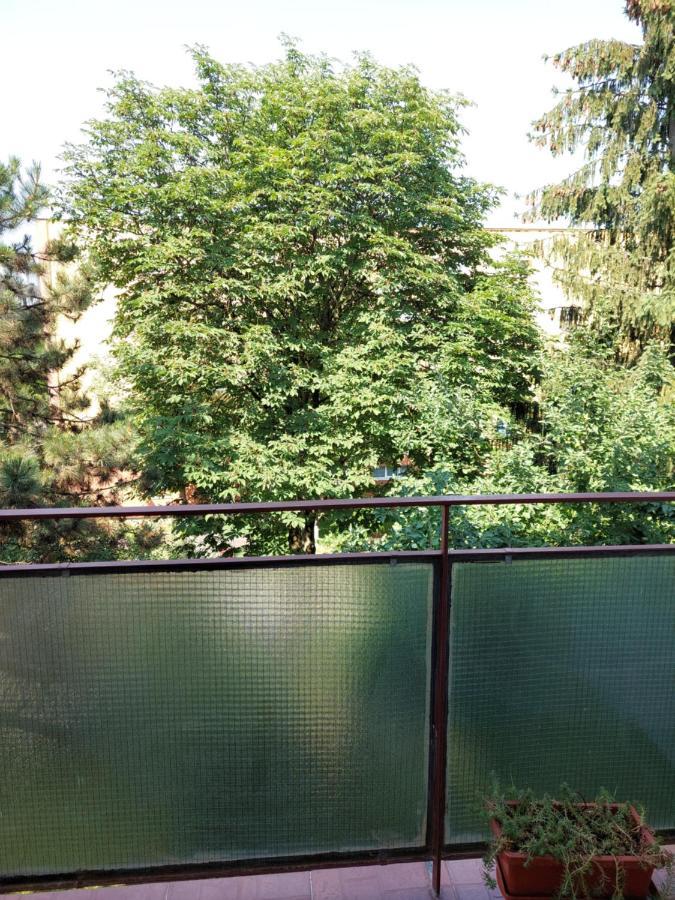 Bright And Cozy Apartment! Cluj-Napoca Exterior photo
